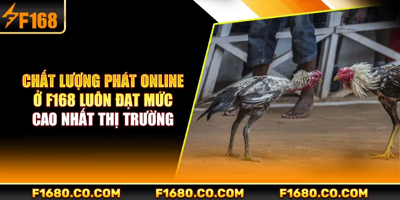 Chất lượng phát online ở F168 luôn đạt mức cao nhất thị trường