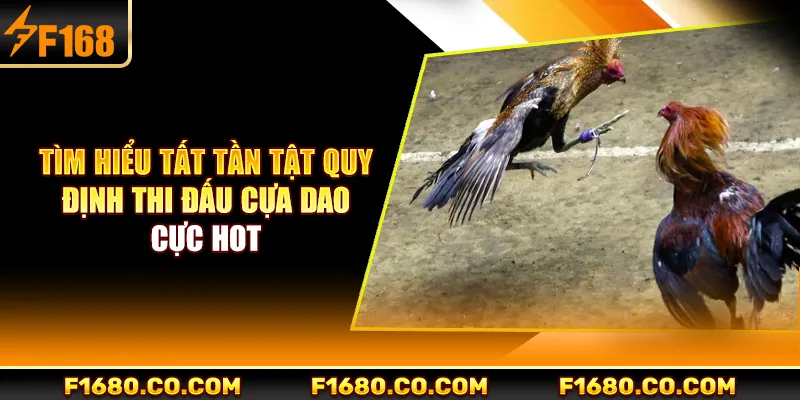 Tìm hiểu tất tần tật quy định thi đấu cựa dao cực hot