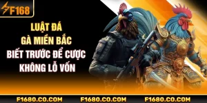 Luật Đá Gà Miền Bắc