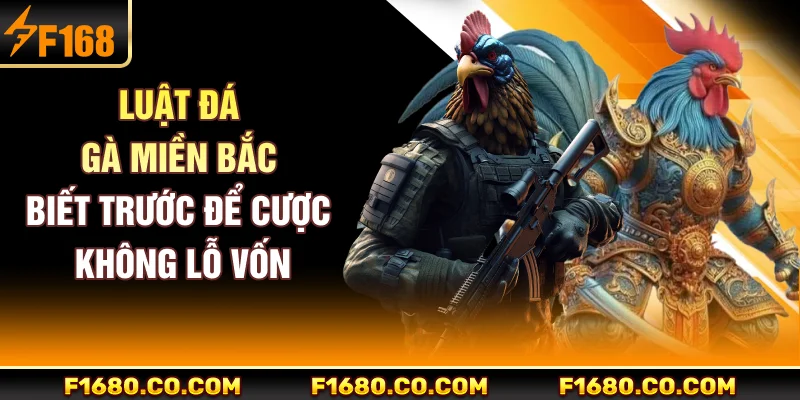 Luật Đá Gà Miền Bắc